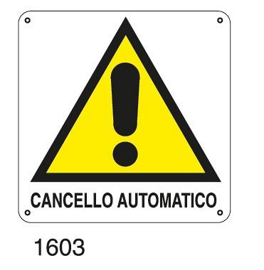 Cancello automatico