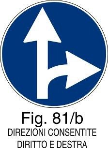 Direzioni consentite diritto e destra - B - Ferro CL.2 60cm