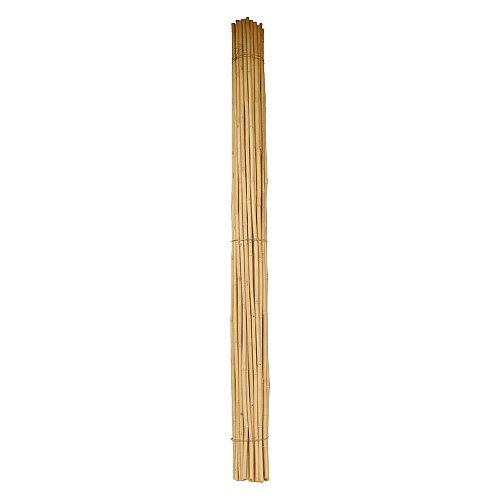 Canna Bamboo Diam. 24/26 Mm. Circa - H. Mt 2,1