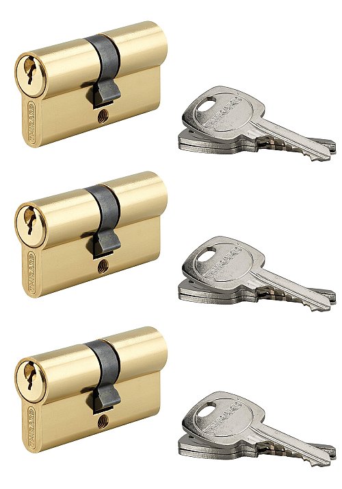 Set di 3 cilindri europei per serrature a doppia entrata, 30x30mm, anti-sfilamento, ottone, 3 chiavi/cilindro - THIRARD