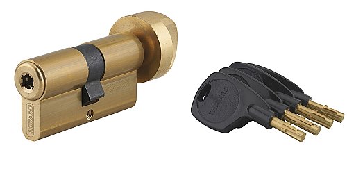 Cilindro europeo per serratura a pomolo Surveyor, 31x31mm, ottone, anti-sfilamento, 4 chiavi - THIRARD