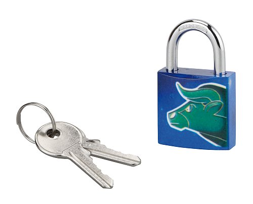 Lucchetto con chiave Taureau, acciaio, interno, arco in acciaio, 30mm, 3 chiavi - THIRARD